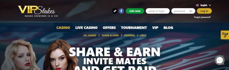 vip stakes help choices review-logo